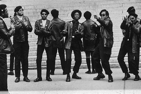 the rise and fall of the black panther party