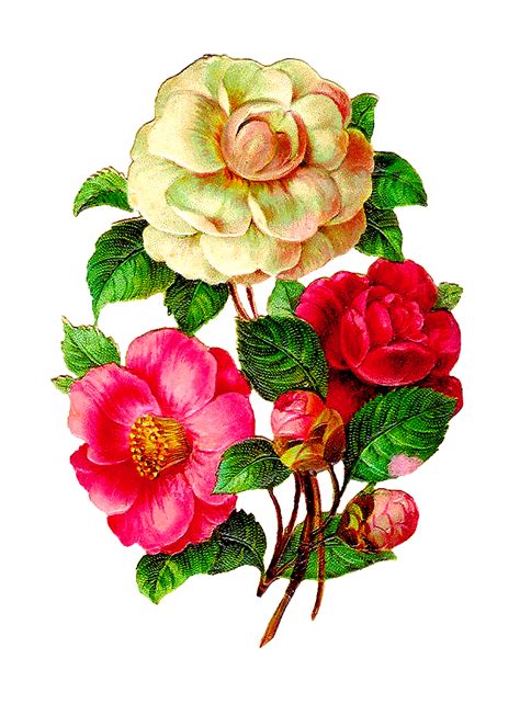 afbeeldingsresultaat voor vintage flowers illustration pinturas artes decorativas e arte