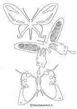 Farfalle Sagome Ritagliare Colorare Bambini Disegni Pianetabambini sketch template