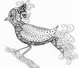 Zentangle Animal Coloring Pages Animals Bird Drawings Zentangles Templates Clipart Colouring Hewan Color Adult Popular Doodles Birds Zentangled Getdrawings Library sketch template