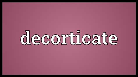 decorticate meaning youtube