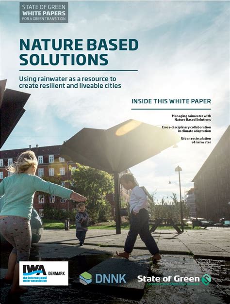 nature based solutions white paper  optimized   rainwater  cities