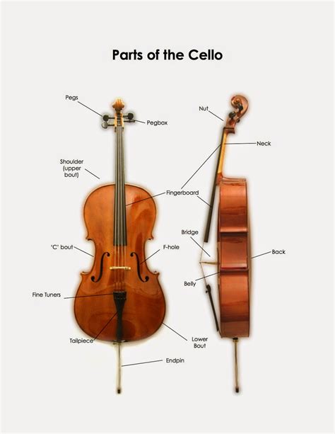 suzuki cello school  austin cello bow care