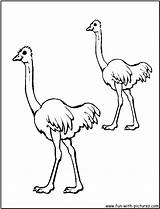 Emu Coloring Pages Australian Kids Animals Printable Colouring Print Getcolorings Fun sketch template