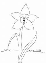Daffodil Coloring Daffodils sketch template