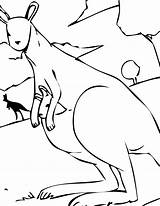 Colorat Cangur Planse Kangaroo Desene Kangourou Canguros Animale Salbatice Baby Imagini Canguro Imaginea Cangurul Fise Coloriages Importante Cuvinte Cheie sketch template
