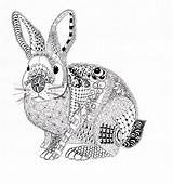 Lapin Konijn Zentangle Kleurplaat Kleurplaten Efie Volwassenen Kwok Difficile Goes Tigre Fantastiques Konijnen Volwassen Colorier Archivioclerici Pascher Uitprinten Hibou Downloaden sketch template