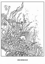 Reefs Zentangle sketch template
