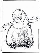 Penguin Coloring Pages Kids Printable Print Feet Happy Emperor Realistic Penguins Colouring Animal Cute Pinguin Color Animals Baby Drawing Bestcoloringpagesforkids sketch template