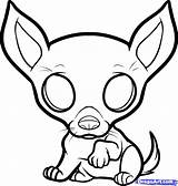 Chihuahua Coloring Pages Dog Drawing Puppy Draw Cute Pomeranian Teacup Color Chihuahuas Puppies Kids Step Chiwawa Cartoon Dragoart Drawings Printable sketch template