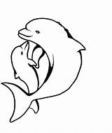 Coloring Dolphin Pages Printable Popular Tale sketch template