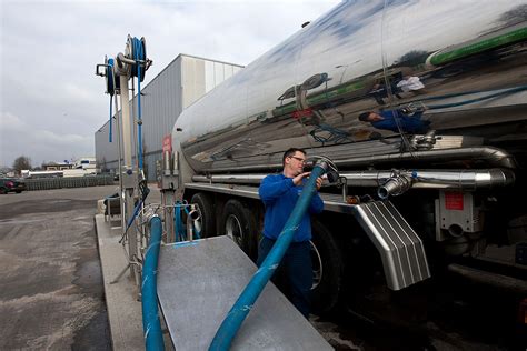 arla verhoogt melkprijs met ruim  boerderij