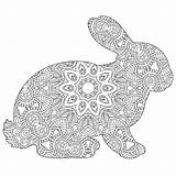 Mandala Rabbit Mandalas Coloringbuddy sketch template