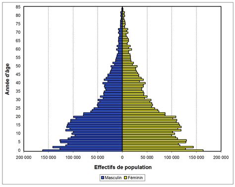 congo population pyramid
