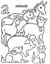 Coloring Farm Pages Old Macdonald Had Animal Color Animals Printable Popular sketch template