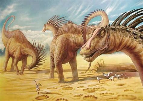 amargasaurus pictures facts  dinosaur