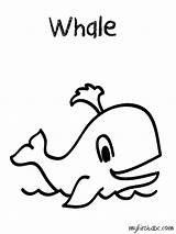 Whale Coloring Pages Cute Drawing Drawings Getcolorings Color Getdrawings sketch template