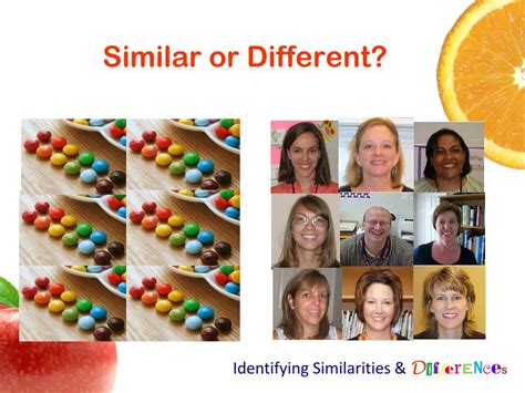 identifying similarities amp differences powerpoint