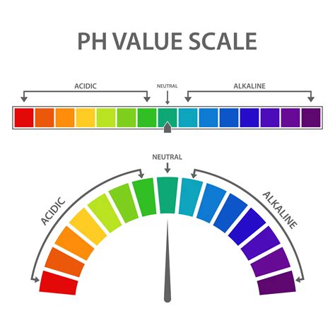 Set Of Ph Value Scale 1268557 Vector Art At Vecteezy