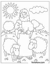 Sheep Verbnow sketch template