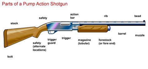 principal parts   shotgun gunpartsshotgunflashgif gun pinterest shotguns poster