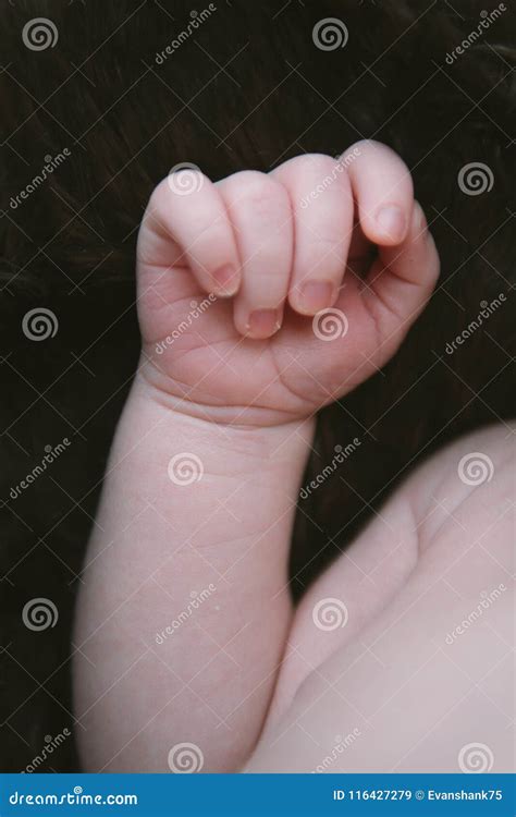 sweet  precious newborn baby boy hand  gentle fist close  stock image image  infant