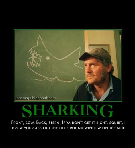jaws film jaws   memes  quotes shark pictures shark