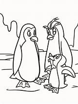Penguins Template sketch template