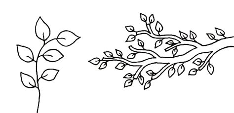 tree branch  leaves template sketch coloring page