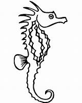 Seahorse Coloring Pages Sea Horse Color Coloring2print sketch template