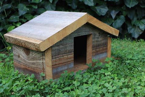 morning dove bird house  woodworking