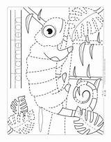 Chameleon Tracing Worksheets Jungle Kids Coloring Craft Animals Worksheet Reptile Reptiles Mixed Preschool Activities Safari Carle Eric Choose Board Open sketch template