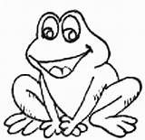 Frog Coloring Pages Kids Popular sketch template