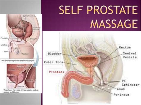 ways to massage the prostate