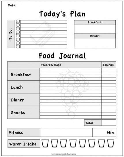 diet journals bariatric surgery source fitness