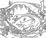 Prehistoric Jurassic Dinosaurs Creatures Extinct Water Vibrant Beings Vivid Seascape sketch template