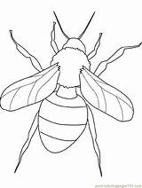 Insect Coloring Pages Printable Kids Bug Printablee Via sketch template