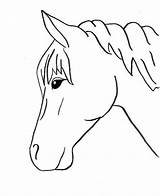 Horse Trace Easy Drawing Horses Drawings Outlines Pages Coloring Head Animals Outline Template Stencil Patterns Printable Pferd Zeichnen Animal Face sketch template