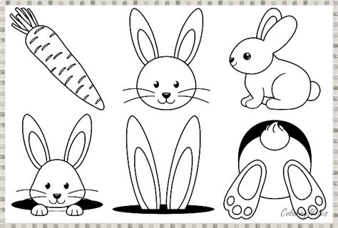 easter bunny coloring page  kids  printable easter coloring