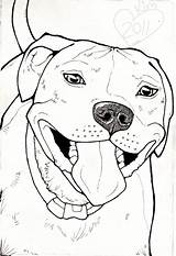 Pitbull Drawing Dog Drawings Face Draw Pit Coloring Animal Pages Bull Staffy Stencils Dogs Print Bulls Result Colour Line Paw sketch template