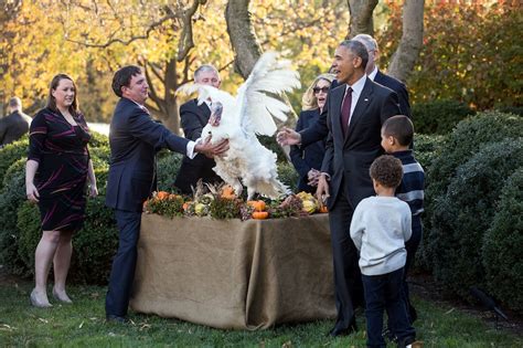 president obama s final turkey pardon