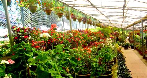 floriculture centre munnar timings history entry fee images information kerala tourism