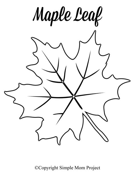 printable maple leaf pattern