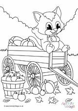 Harvest Colouring Cat Pages Basket sketch template
