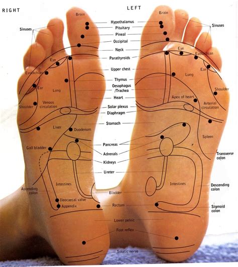 reflexology treatments with ruth rowland ceridwen centre