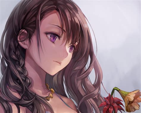 Braids Brown Hair Close Cropped Flowers Gradient Long Hair