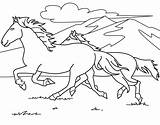Coloring Pages Horse Breyer Comments Grazing sketch template
