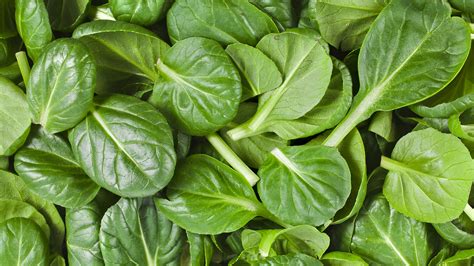 spinach fun facts mobile cuisine
