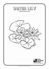 Lilies Haggadah sketch template
