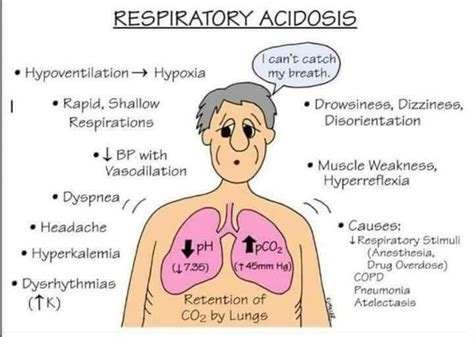 ph bander alqarni on twitter respiratory acidosis and alkalosis